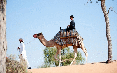 The Ritz-Carlton Ras Al Khaimah, Al Wadi Desert Hotel The Ritz-Carlton Ras Al Khaimah, Al Wadi Desert Hotel