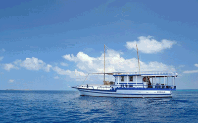 Maldives - Koimala Liveaboard Maldives - Koimala Liveaboard