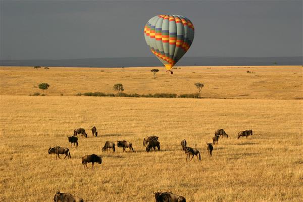 Kenya Safari and Mombasa Beach Tour masaimaraCustom.jpg