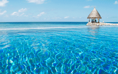 Vivanta By Taj - Coral Reef Vivanta By Taj - Coral Reef