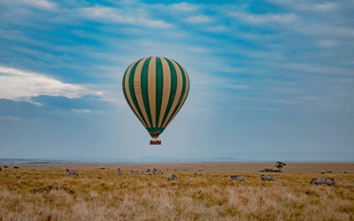 Mara Fly In Safari & Zanzibar! Mara Fly In Safari & Zanzibar!