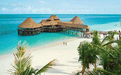 Fly In Mara Safari, Stone Town & Beach Fly In Mara Safari, Stone Town & Beach