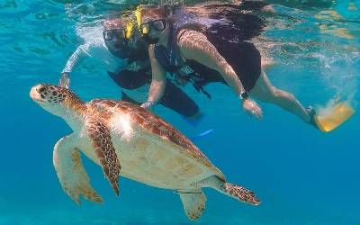 Adults Only All Inclusive Barbados
