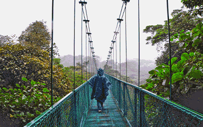 Costa Rica Escapes: Adventure & Relaxation in Paradise! Costa Rica Escapes: Adventure & Relaxation in Paradise!