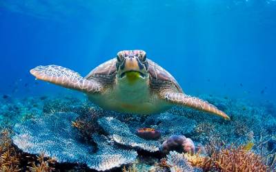 Affordable Zanzibar Beach