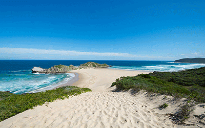 South Africa Safari & Beach South Africa Safari & Beach