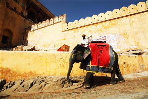 Palace On Wheels Amber Fort in Jaipur, Rajasthan, India (Custom).jpg