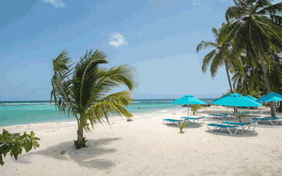 Pre-Christmas in Barbados - The Sands Barbados
