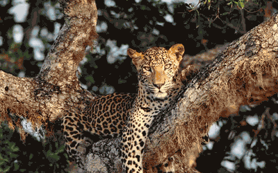 Best of Sri Lanka Tour & Maldives Beach Stay Best of Sri Lanka Tour & Maldives Beach Stay