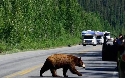 Canada & US - Rockies & Yellowstone by RV
