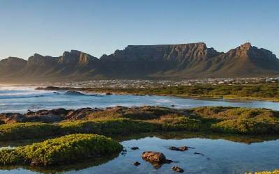 Cape Town Foodies Tour