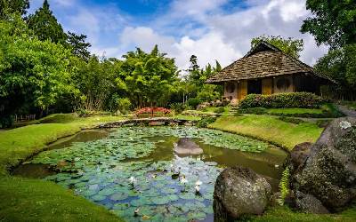 Costa Rica Botanical Journey
