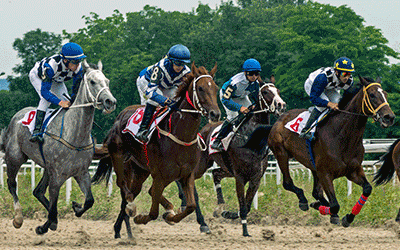 Dubai World Cup - Horse Race at Meydan
