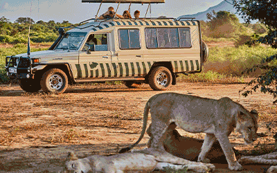 Escorted Group Mara Safari to Mombasa Escorted Group Mara Safari to Mombasa