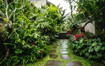 Far East Cities, Jungle & Beach Sale! Far East Cities, Jungle & Beach Sale!