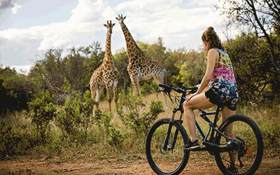 The Grand Safari & Ocean The Grand Safari & Ocean
