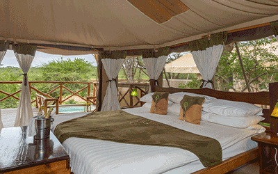 Elephant Bedroom Honeymoon & Beach