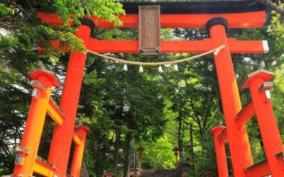Japan on a Budget