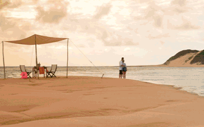 Johannesburg, Big 5 Safari & Mozambique Beach Johannesburg, Big 5 Safari & Mozambique Beach