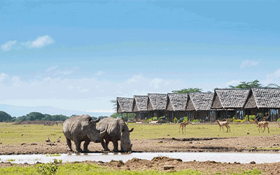 Kenya Great Migration Safari Kenya Great Migration Safari
