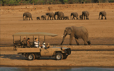 South Luangwa Safari South Luangwa Safari