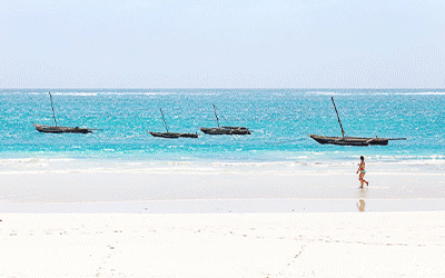 The Best Of Kenya Safari & Beach The Best Of Kenya Safari & Beach