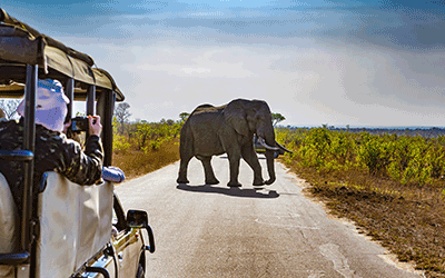 Kruger and Swazi Overland Camping Kruger and Swazi Overland Camping