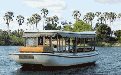 Kruger Safari & Victoria Falls