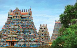 Living Cultures of Tamil Nadu