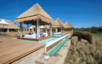 Luxury Cape Town, Kruger Safari & Mauritius! Luxury Cape Town, Kruger Safari & Mauritius!