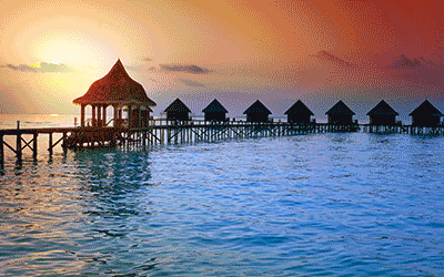 Maldives - 5* Cocoon Maldives Maldives - 5* Cocoon Maldives