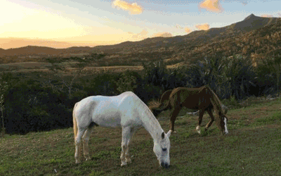 Discover Mauritius: Coastline Charms to Mountain Magic Discover Mauritius: Coastline Charms to Mountain Magic