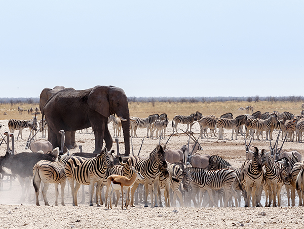 Namibia Namibia2.jpg