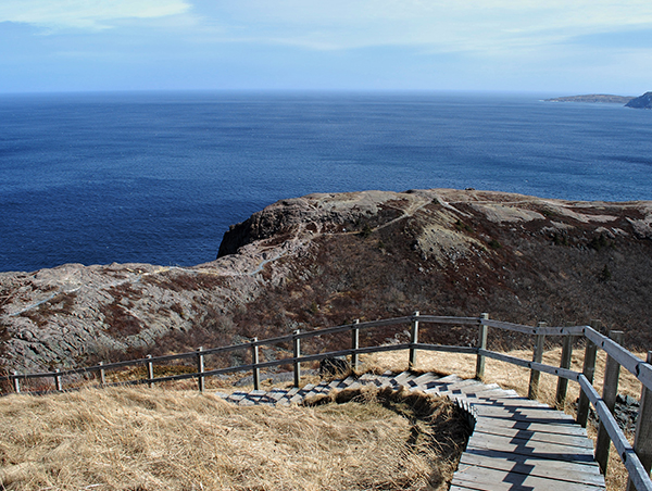 Newfoundland Discovery Newfoundland-Discovery-3.jpg