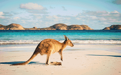 Australia Tropical Beaches And Reef 