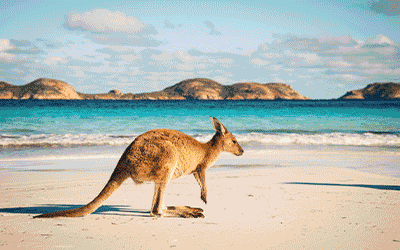 Australia Tropical Beaches And Reef Australia Tropical Beaches And Reef