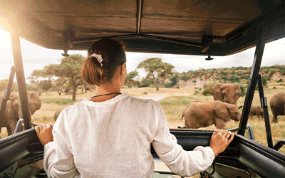 Samburu Classic Safari
