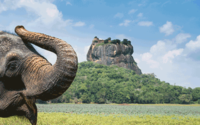 Sri Lanka Culture, Nature, Wildlife & Beach Sri Lanka Culture, Nature, Wildlife & Beach