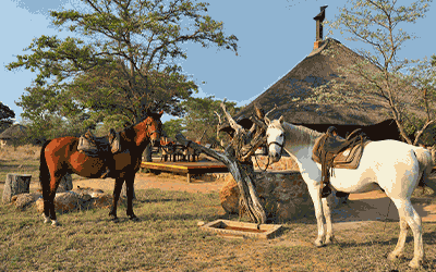Horse Riding & Safari Experience Horse Riding & Safari Experience