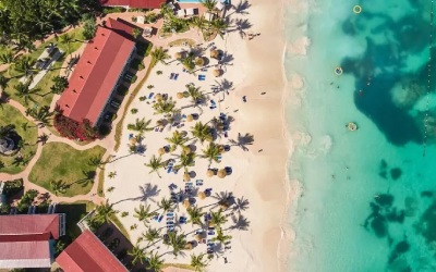 Swim with Sea Turtles in Antigua