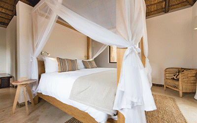 The Kruger Elephant Safari The Kruger Elephant Safari