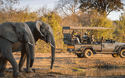 Cape Town, Kruger & Victoria Falls Cape Town, Kruger & Victoria Falls
