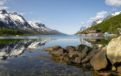 Tromso Aurora & Wildlife Experience Tromso Aurora & Wildlife Experience