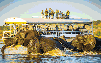 African Safaris and Coastal Cruises African Safaris and Coastal Cruises