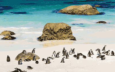 Highlights Of The Western Cape Highlights Of The Western Cape
