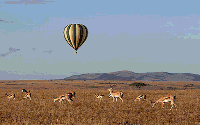 Private Short Classic Kenya Safari 