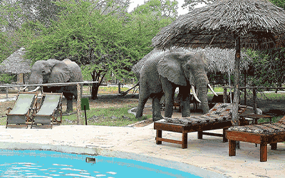 Zanzibar White Paradise & Safari Zanzibar White Paradise & Safari