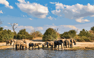 Majestic Victoria Falls, Chobe, Winelands & Cape Town Majestic Victoria Falls, Chobe, Winelands & Cape Town