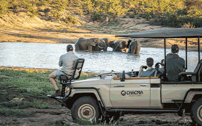 Cape Town, Stellenbosch & Big 5 Kruger safari