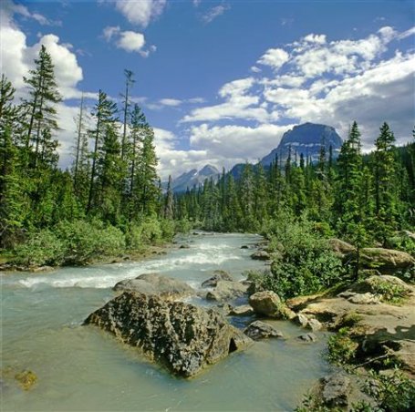 athabasca-river.jpg